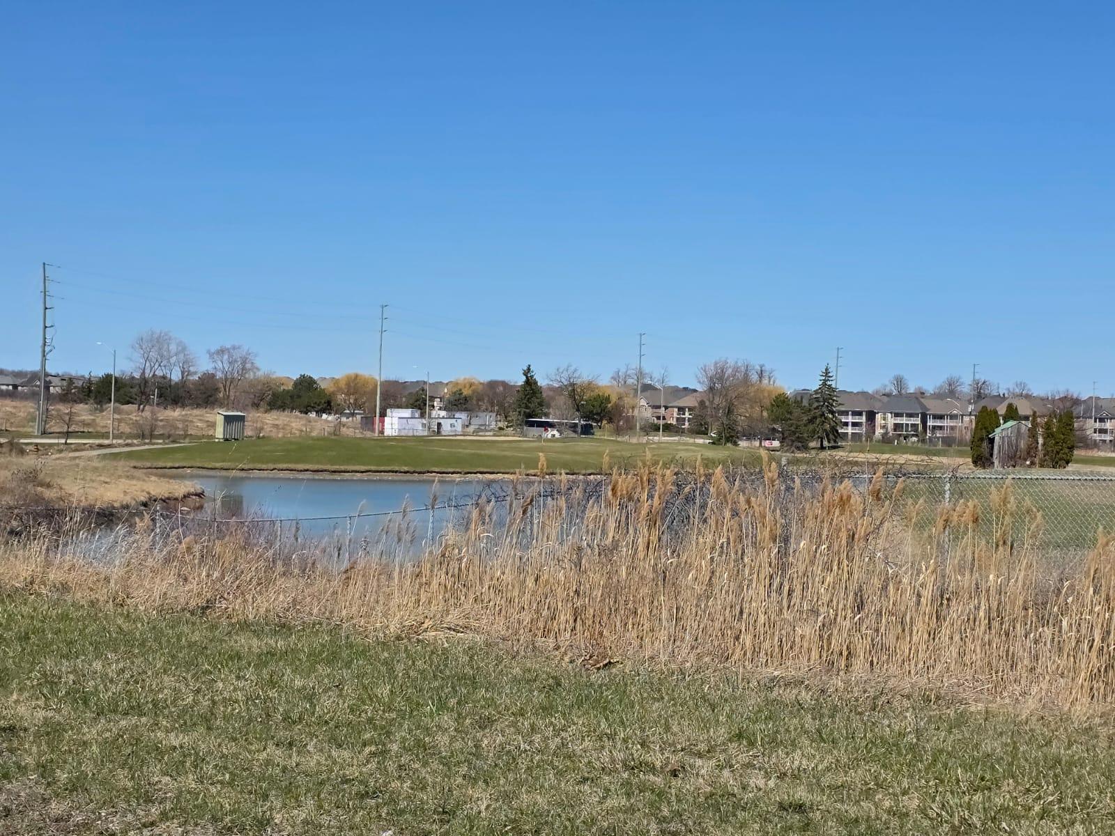 Pond on golf course